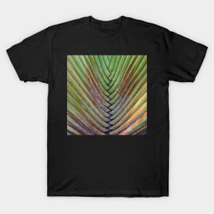 Sugar-bush Palm T-Shirt